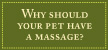 Why should your pet have a massage?