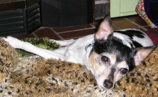 otis02