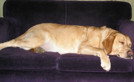 otis02