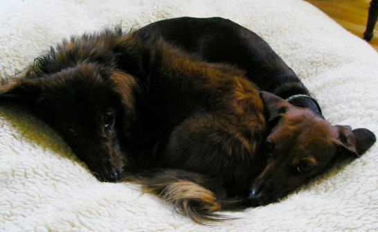 otis01